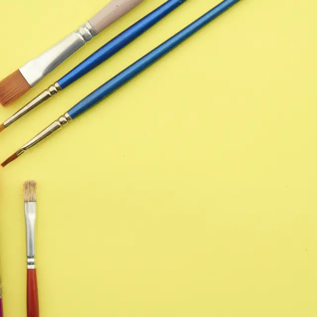 Artist brush set