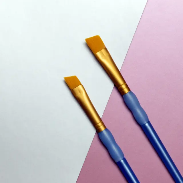 Flat brushes, pair
