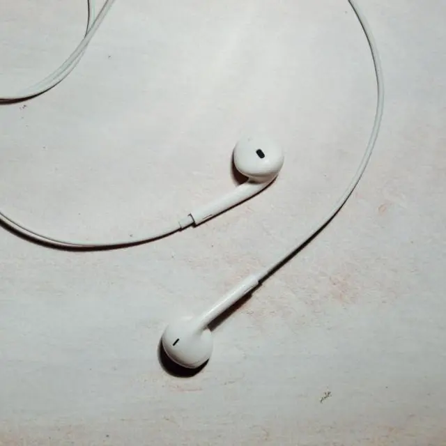 Wired earphones