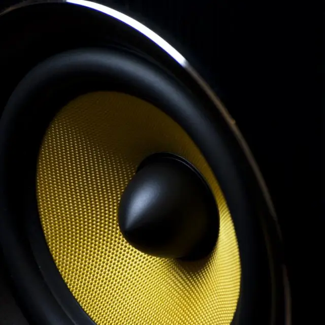 Bass speaker