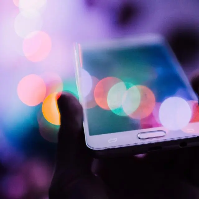 Large-screen smartphone