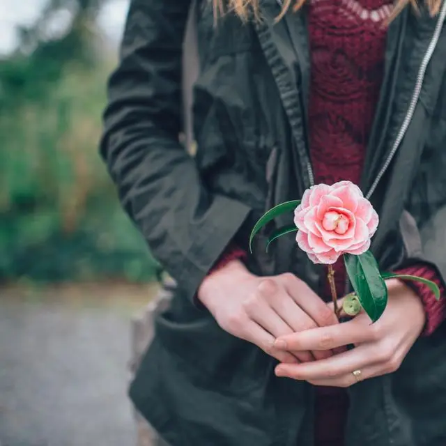 Olive parka