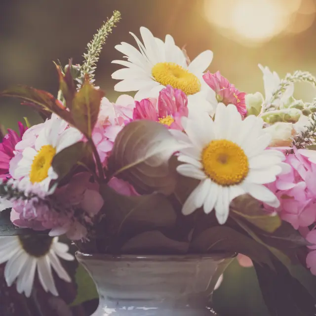 Daisy and hydrangea pot arrangement