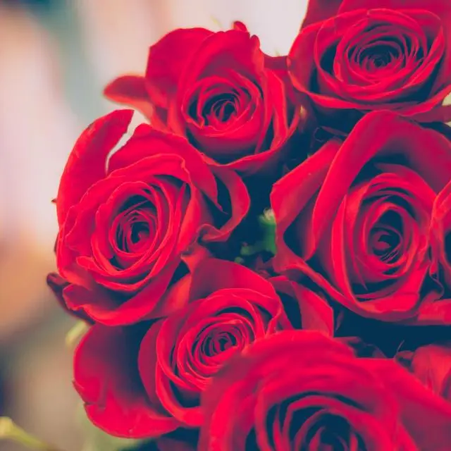 Red rose bouquet