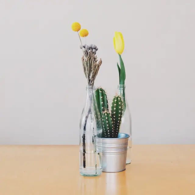 Glass bud vases