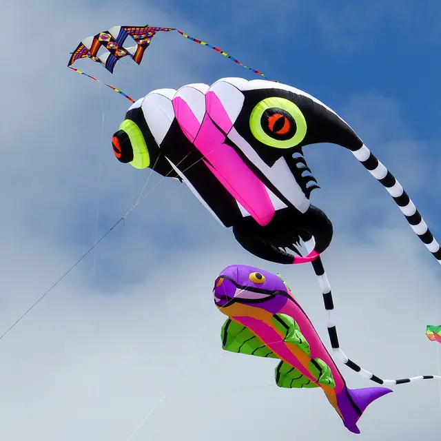 Fish kite
