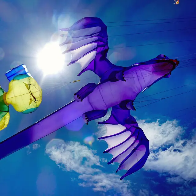 Dragon kite