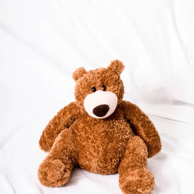 Classic brown teddy bear