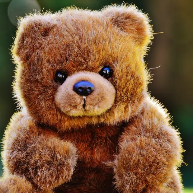 Fluffy dark-brown bear