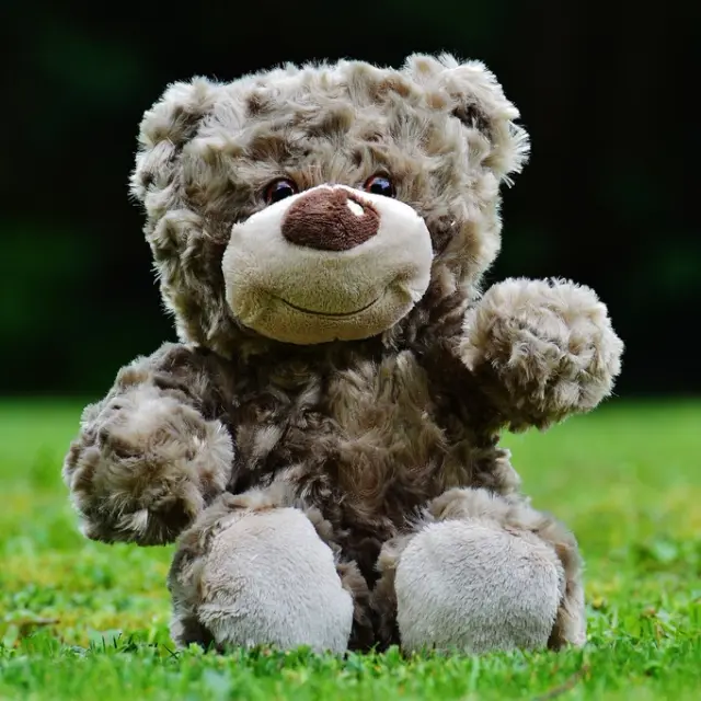 Grey teddy bear