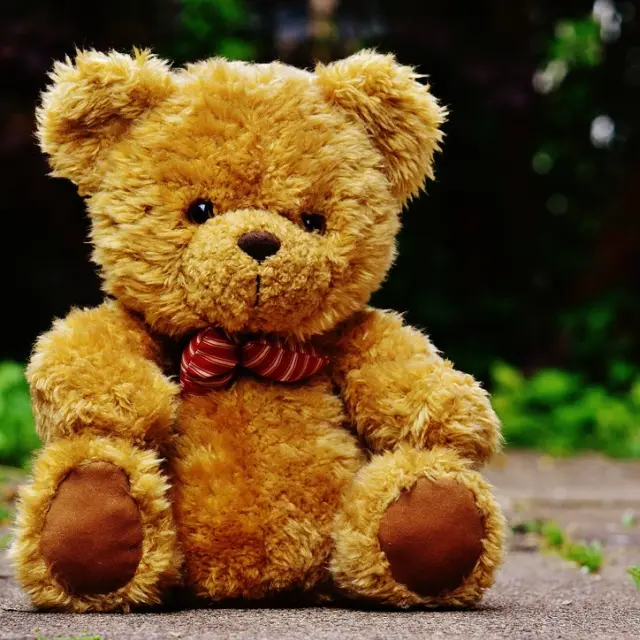Teddy bear with bow tie