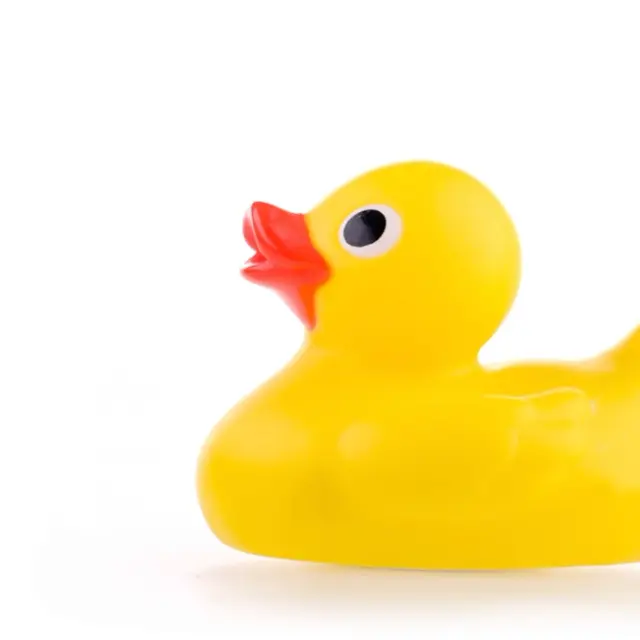 Yellow bath duck