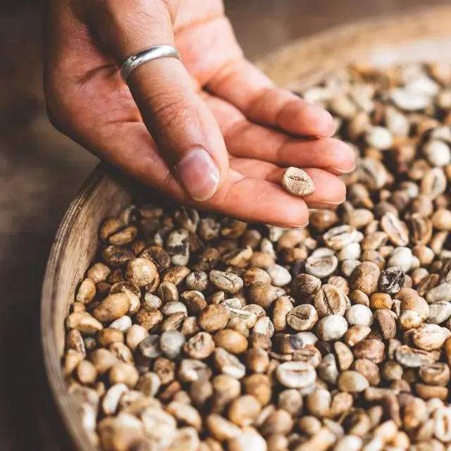 Green coffee beans