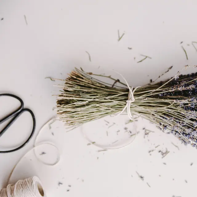 Dried herb bundle