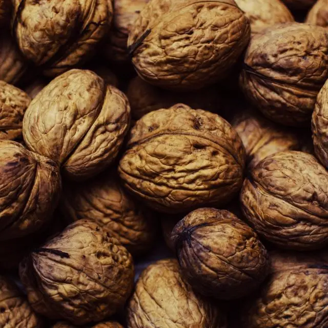 Walnuts in shell