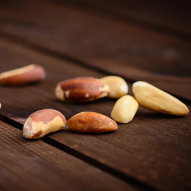 Brazil nuts