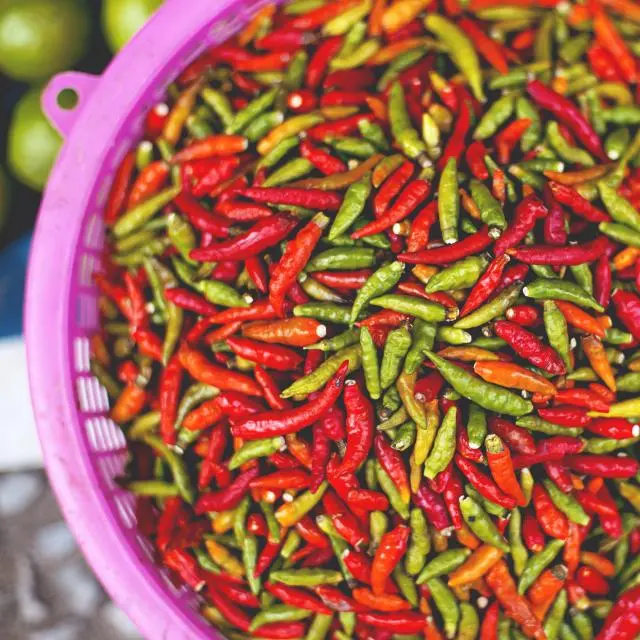 Bird's eye chillies