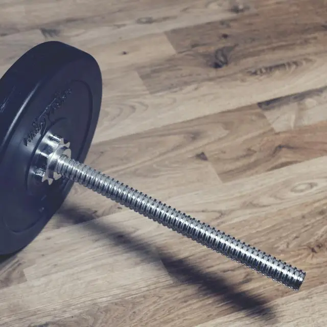 Barbell with weight plate