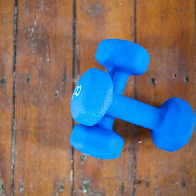 Blue dumbbell pair