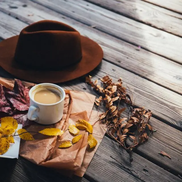 Brown felt hat