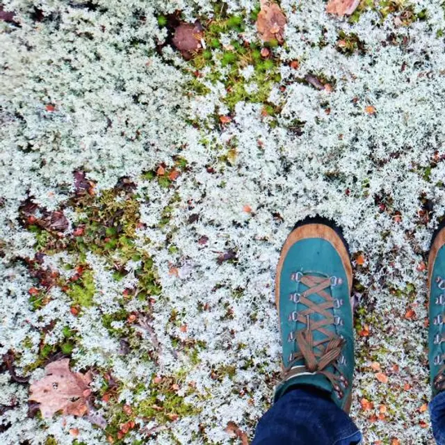 Teal trail sneakers