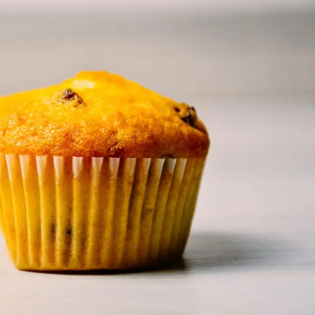 Vanilla muffin