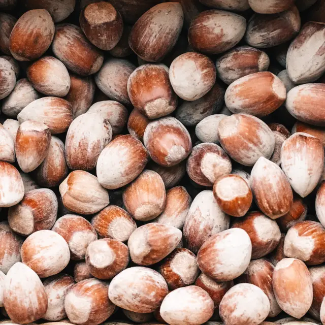 Hazelnuts